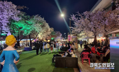 상춘객 북적이는 '안동벚꽃축제'