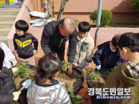영천동부초 병설유치원, 식목일 모종 심기