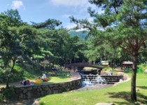 구미시, 체류형 산림관광지 생긴다…선산 산림휴양타운 조성 본격