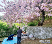 한해 만복 기원 포항 환여동 동목제 개최