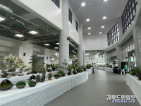 구미시, 알록달록 봄 야생화 전시…성황리에 종료