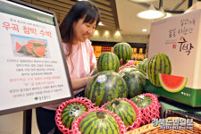 달고 달디 단 고령 우곡수박 맛보세요