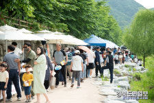 선주원남동, 장미꽃 만발한 구미천에서 PLAY in 구미천개최