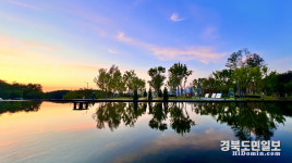 여름 알리는 수국의 향연 구미 다온숲, 힐링 명소로 급부상