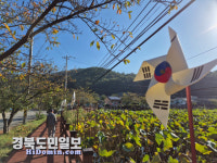 칠곡 도암마을, 태극기 바람개비 거리 조성