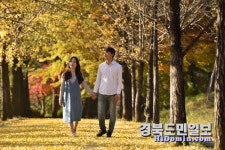 살랑바람 손잡고 고즈넉한 영주의 가을 정취 만끽
