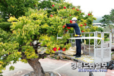 가을정취 가득 청송사과축제 즐길 준비 됐나요