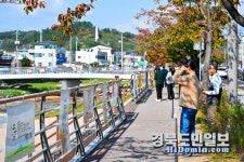 여기!가을빛 펼쳐놓은 시화전…영덕 덕곡천변 물들다