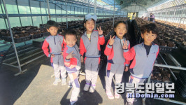 가은초병설유치원, 표고버섯 수확 체험 실시