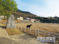 대덕승마장, 새단장하고 체험 프로그램 확대