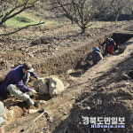 김천 갈항사지 동·서 삼층석탑 반환 첫발… 시굴조사 시작