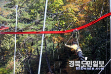 설 연휴, 경북 휴양림에서의 하루가 1년을 바꿉니다!