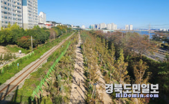 걷고 싶은 도시 포항 도시숲 확대 눈길