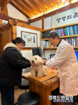 대구시, 광견병 예방접종 실시