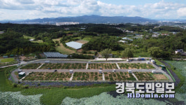 경산시, 도시민 위한 공영농장 24일 개장… 총 294구획 분양