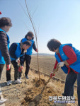 구미 고아읍 체육회, 왕벚꽃나무 200그루 식재