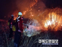 안동시, 길안면 산불 확산 방지 총력 대응