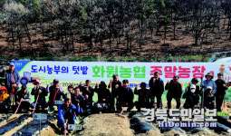 대구 화원농협, 도시농부 텃밭 주말농장 개장