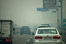 숨쉬기 힘들어 영덕 산불 주민들, 안전위해 7번 국도로 몰려 정체