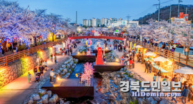 산불 여파 구미 금오천 벚꽃 페스티벌 축소