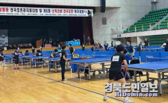 2025 삼봉배 경북오픈라지볼대회 및 소백산배 전국오픈 탁구대회 영주시 국민체육센터에서 격돌!