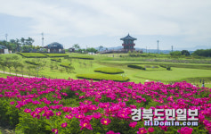 경북도, 산불 피해지역 회복과 관광활성화 위한 관광전략 본격 시동