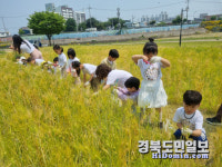 양귀비 꽃길 따라 청보리밭으로… 경산시, 어린이 정원 체험행사 성료