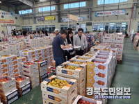 영천시, 과일 품질·안전성 확보 팔 걷었다