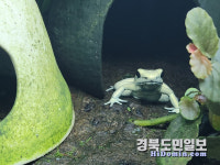 이색동물 마니아뿐 아니라 포항 주민에게도 친숙한 프랜쥬 되고파