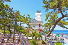등대·골목·바다가 만든 감성 휴식처, 경주 동해안으로 오세요