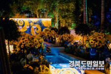 청송의 계곡과 봉화·칠곡의 정원… 경북에서 만나는 특별한 여름  