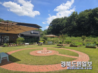 영주 전통주 향기따라 피어난 문화의 꽃