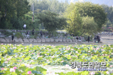 손바닥 보다 큰 배스 낚았다!… 경산 남매지서 느낀 짜릿한 손 맛