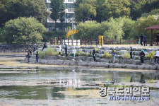 손바닥 보다 큰 배스 낚았다!… 경산 남매지서 느낀 짜릿한 손 맛