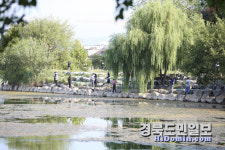 손바닥 보다 큰 배스 낚았다!… 경산 남매지서 느낀 짜릿한 손 맛