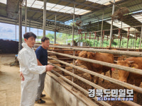 예천군, 한우농가 현장 컨설팅으로 경쟁력 제고