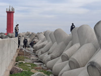 포항 해변가 덮친 마약 찾아라