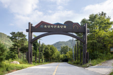 댕댕아, 숲캉스 가자…구미옥성자연휴양림, 반려동물 동반객실 조성