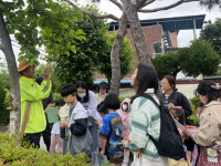 구미도서관, 가족과 함께한 금리단길 나무 이야기 산책성료