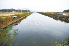 낚시춘추, 내고장 유망낚시터 12월 경기·강원-인천 교동도 봉소수로  이제 연육교로 연결된 교동도로 가보자!