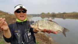 낚시춘추, 겨울 물낚시 명소 - 금강붕어 온천장 익산 성당수로   수위 오를 때가 찬스, 살얼음 얼어도 입질