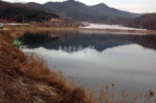 낚시춘추, 경북 붕어 현장 - 성주 회곡지의 절묘한 입질