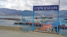 낚시춘추, 한방에 배우는 호래기낚시 -3 체험 현장기 무늬 에깅보다 열 배는 쉽고 재밌다