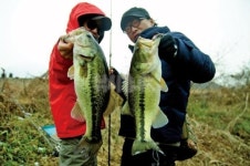 낚시춘추, 추천 배스터-보성강 곡성 잉어소 한겨울에도 깜짝 놀랄 마릿수