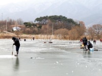 낚시춘추, 내고장 유망낚시터 (2월 충남) - 홍성 죽전지  우안 상류 2~3m 수심에서 호황