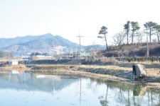 낚시춘추, 전남 호황터 - 곡성 무창지   겨울에는 하류, 봄에는 상류 연밭이 명당