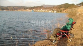 낚시춘추, 내 고장 유망낚시터(3월 충남) - 부여 반산지   70% 수위에서 중류권이 새 봄 포인트 역할