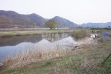 낚시춘추, 6월 내 고장 유망 낚시터(강원) - 춘천호 용암리~거례리