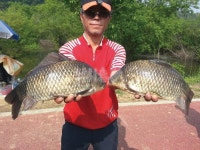 낚시춘추, 화제의 호황 - 괴산 칠성지 4짜 대란    “두 달간 4짜 붕어 300마리 낚였다!”