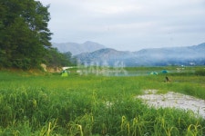 낚시춘추, 내고장 유망낚시터 - 8월 경기·강원   포천 강포지   왕년의 떡밥낚시 명당이 대물터로 돌아왔다